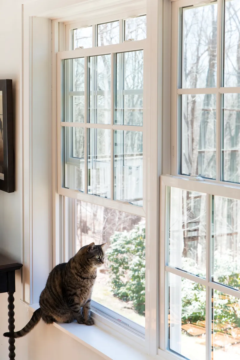 Living room window - twin double-hung window, full colonial grids - Okna CT